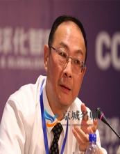 金灿荣-中国人民大学国际关系学院副院长